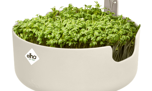 Magic microgreens kweekbak (elho)