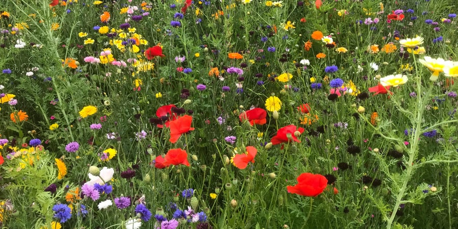 Persoonlijk cadeau voor een tuinliefhebber