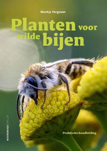 Planten voor wilde bijen – Wankja Ferguson