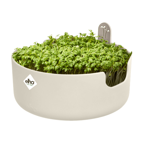 Magic microgreens kweekbak (elho)