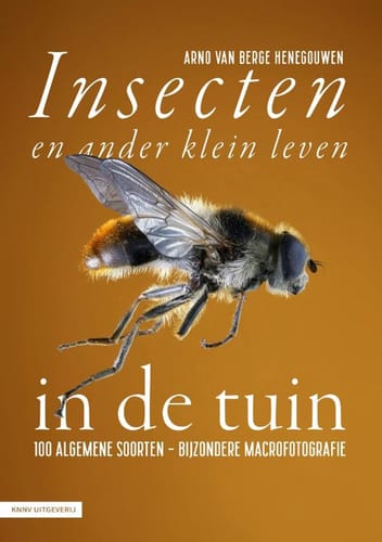 Insecten en ander klein leven in de tuin – Arno van Berge Henegouwen