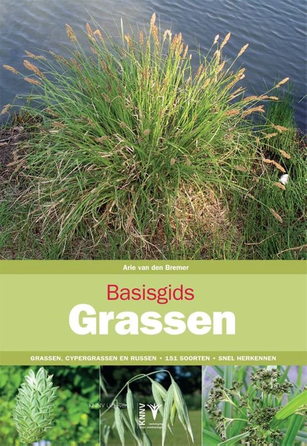 Basisgids grassen (Arie van den Bremer) boek