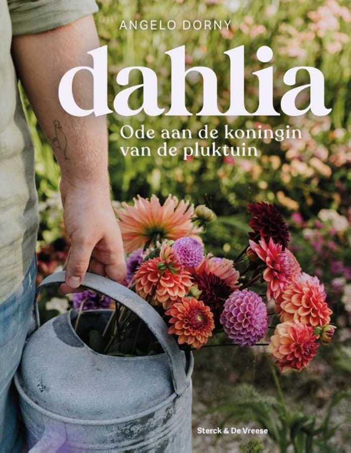 Dahlia (Angelo Dorny) boek