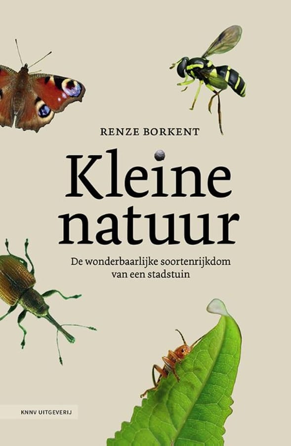 Kleine natuur (Renze Borkent) boek