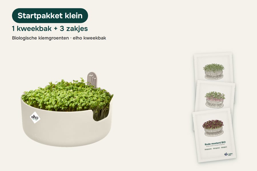 Kiemgroenten startpakket klein (1 kweekbak + 3 zakjes) 
