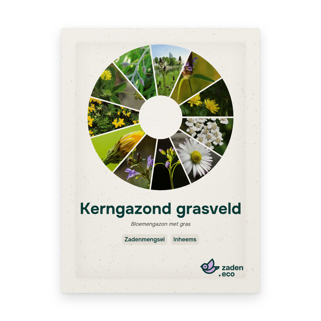 Zakje Kerngazond grasveld