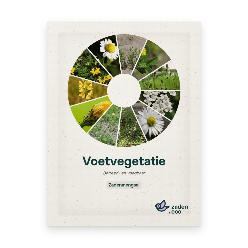 Zakje Voetvegetatie