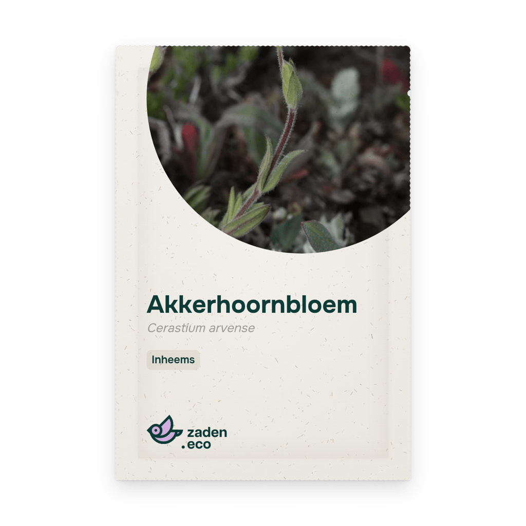 Zakje Akkerhoornbloem