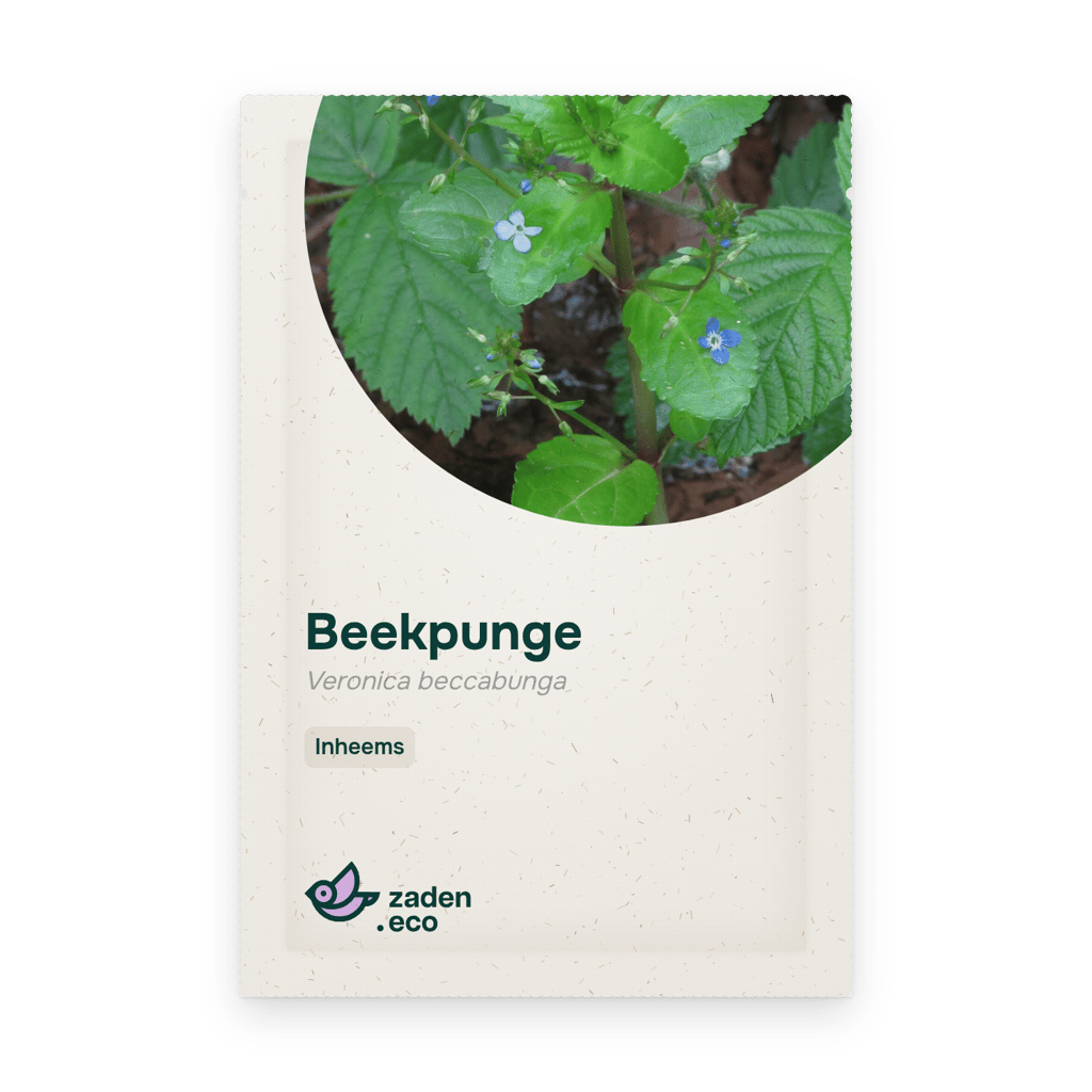 Zakje Beekpunge