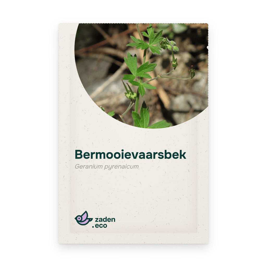 Zakje Bermooievaarsbek