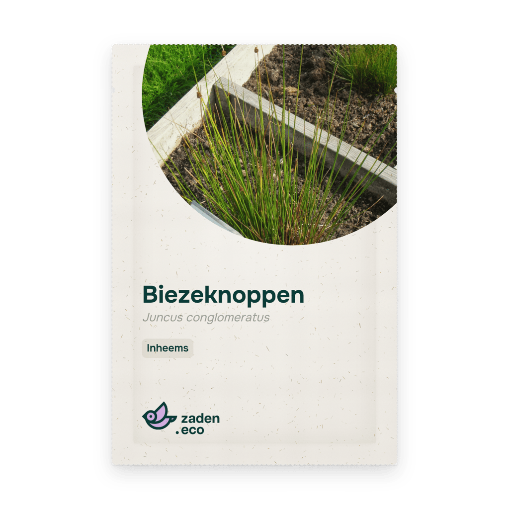 Zakje Biezeknoppen