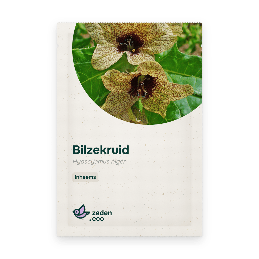 Zakje Bilzekruid
