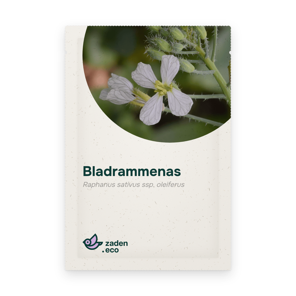 Zakje Bladrammenas