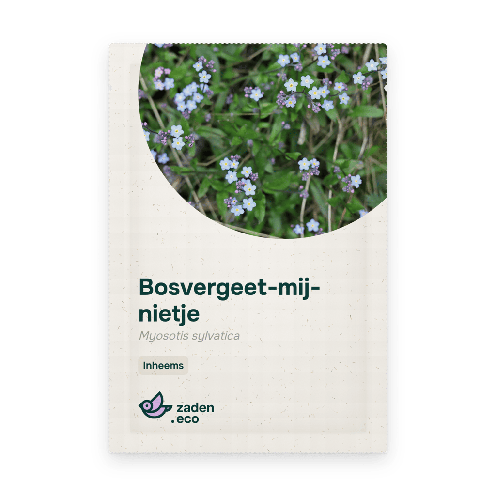 Zakje Bosvergeet-mij-nietje