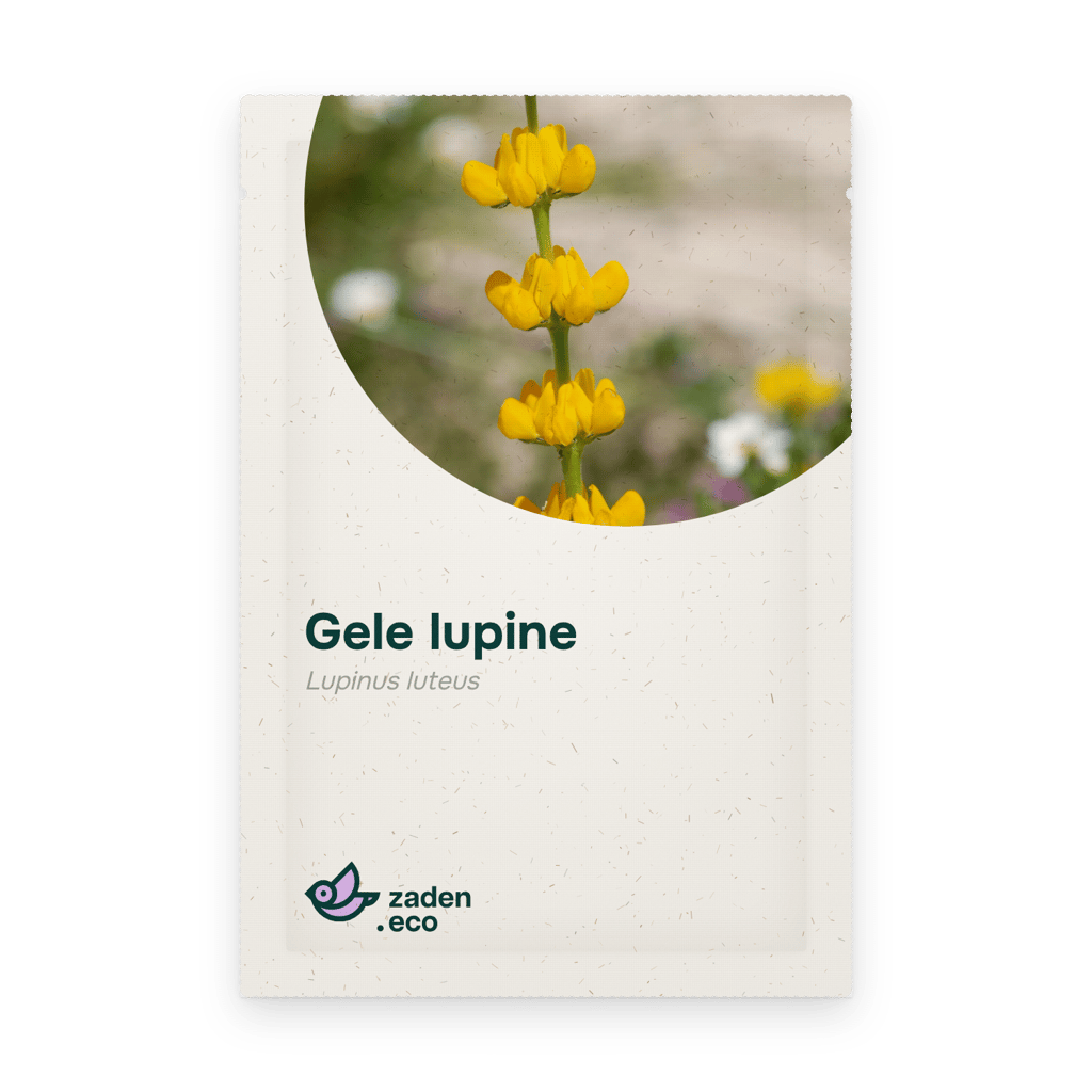 Zakje Gele lupine