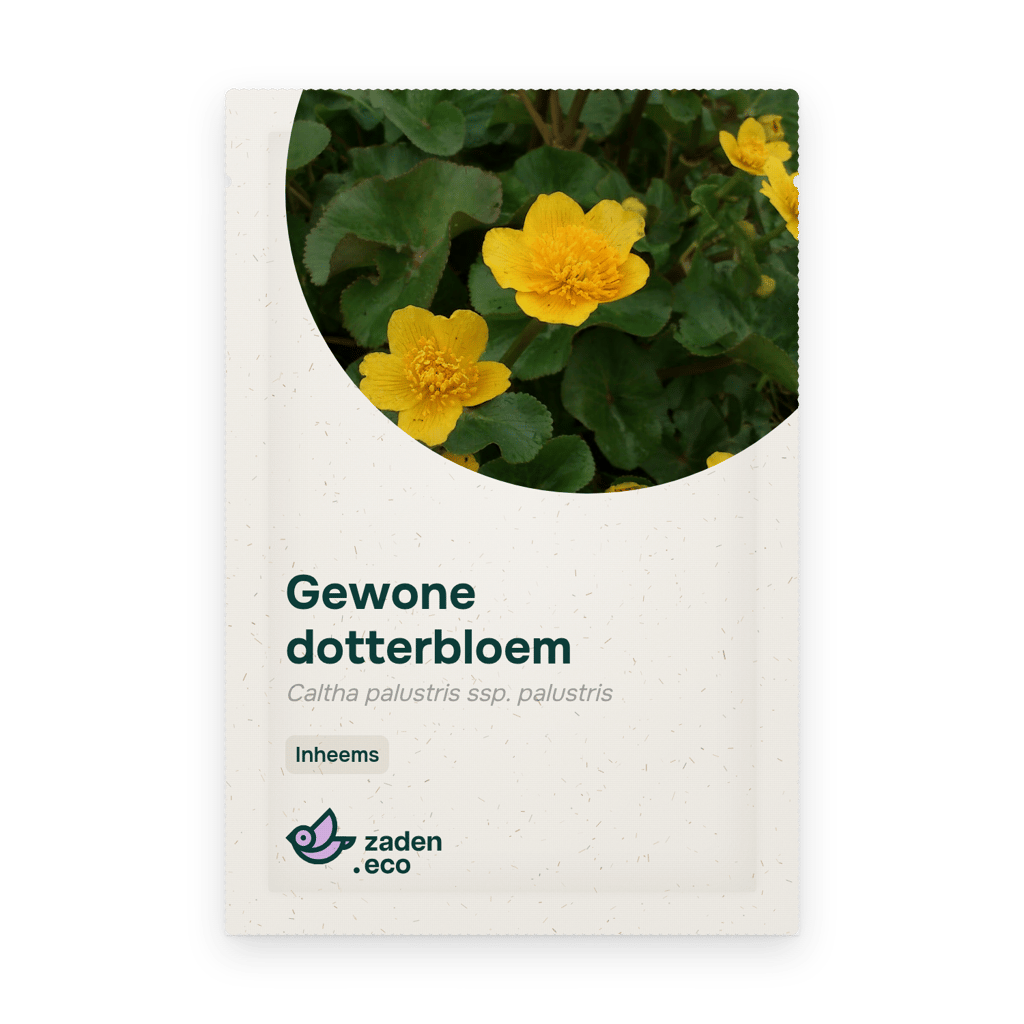 Zakje Gewone dotterbloem
