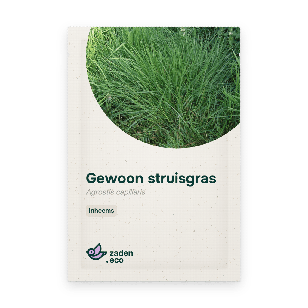 Zakje Gewoon struisgras