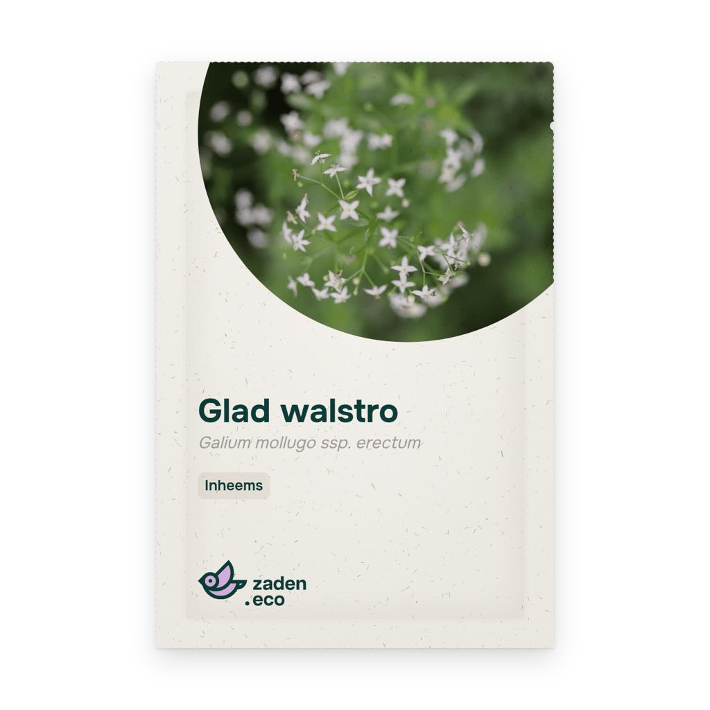 Zakje Glad walstro
