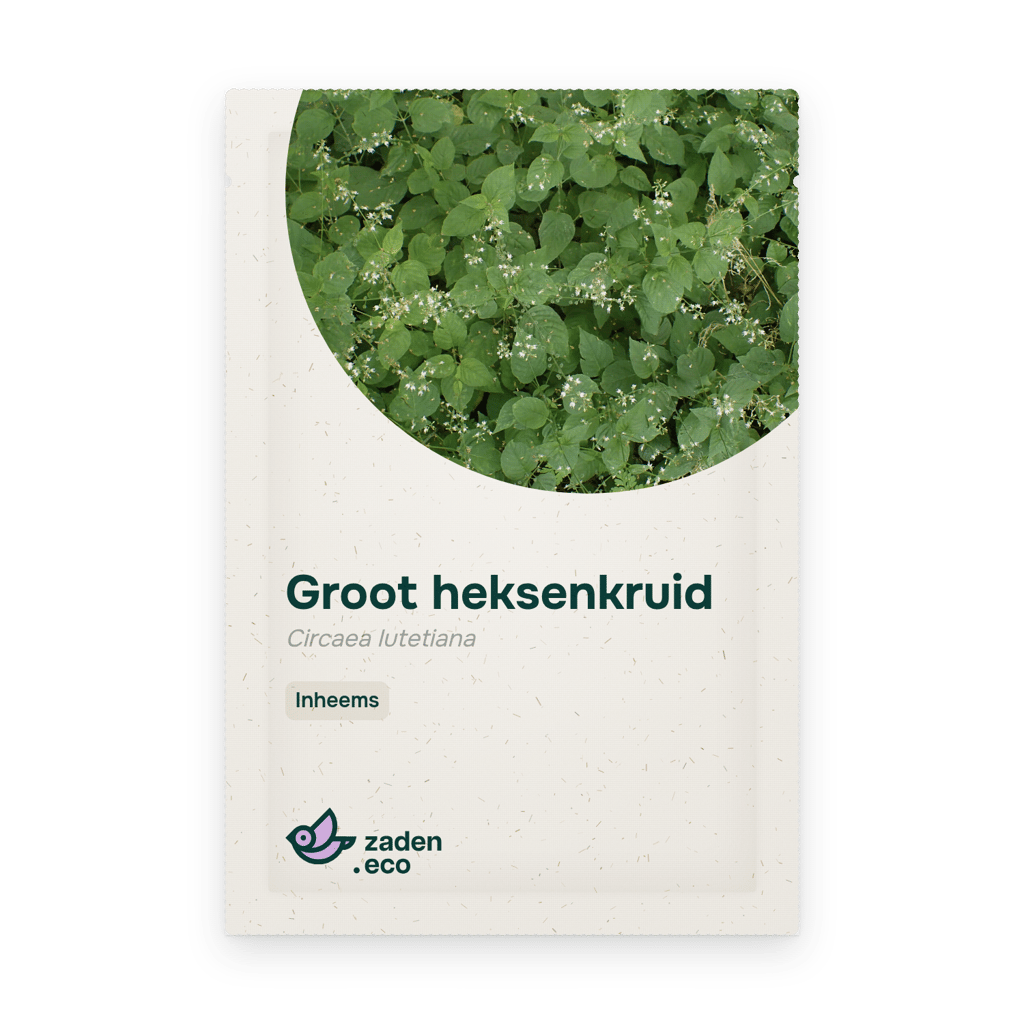 Zakje Groot heksenkruid