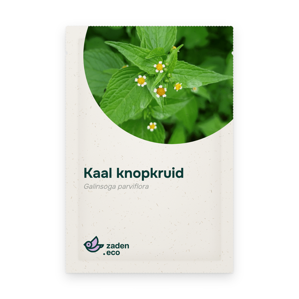 Zakje Kaal knopkruid