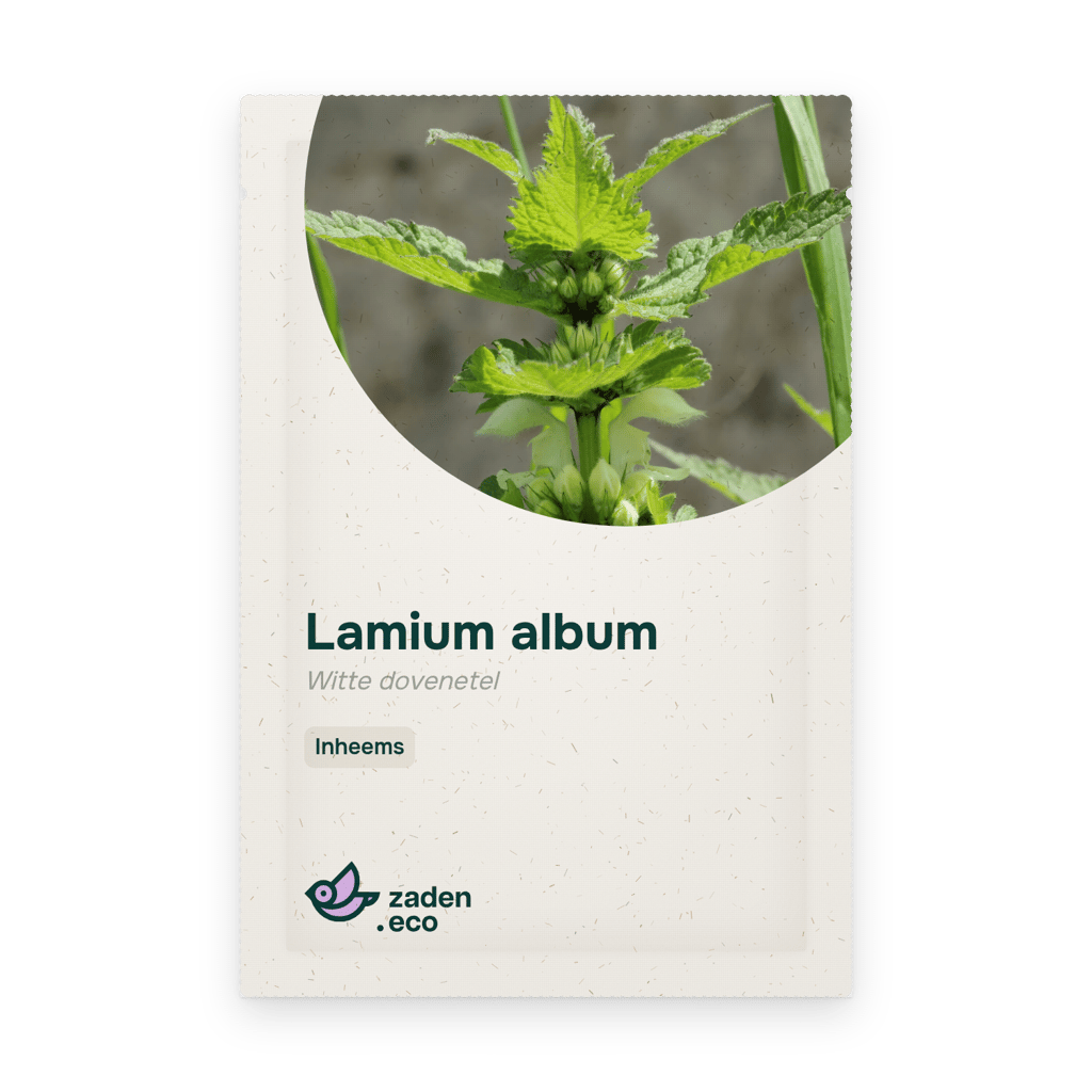 Zakje Lamium album