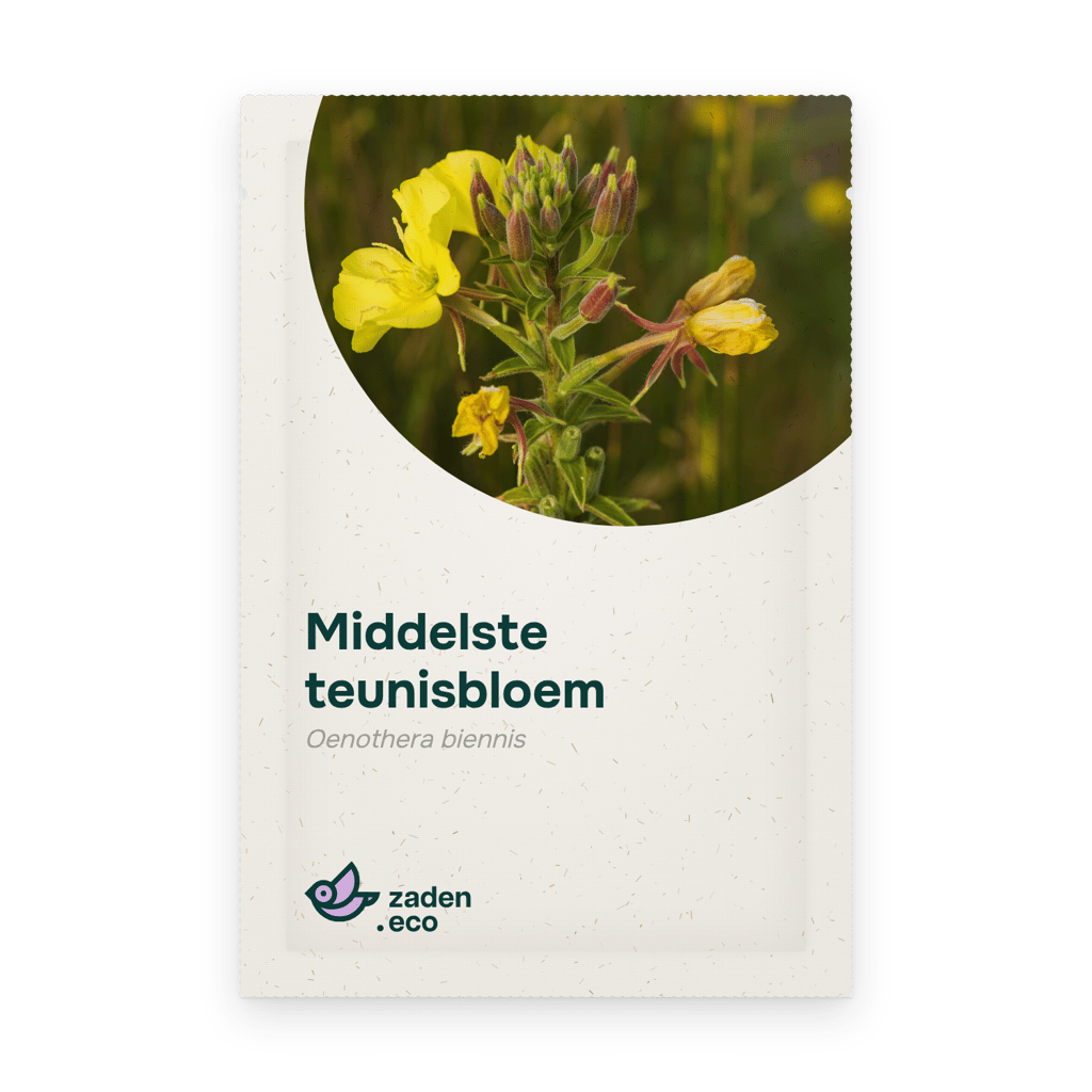 Zakje Middelste teunisbloem