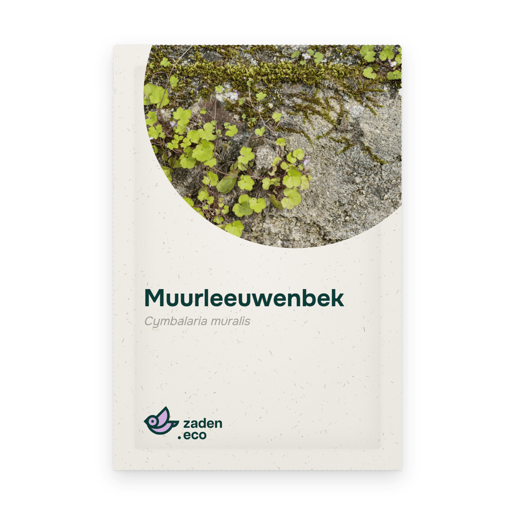 Zakje Muurleeuwenbek