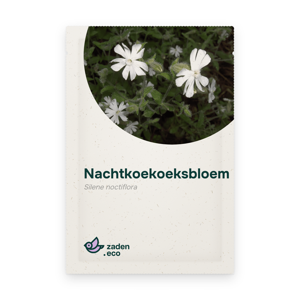 Zakje Nachtkoekoeksbloem