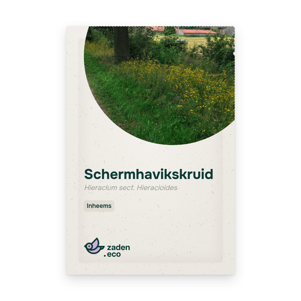 Zakje Schermhavikskruid
