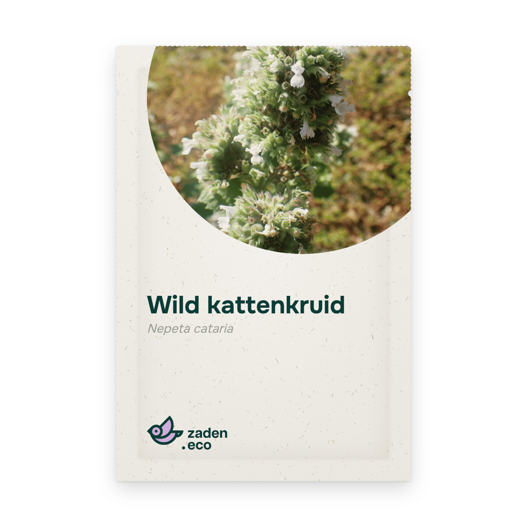 Zakje Wild kattenkruid