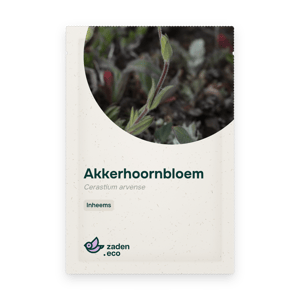 Zakje Akkerhoornbloem