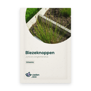 Zakje Biezeknoppen