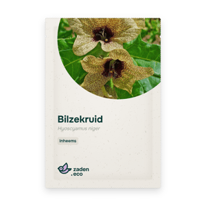 Zakje Bilzekruid