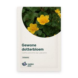 Zakje Gewone dotterbloem