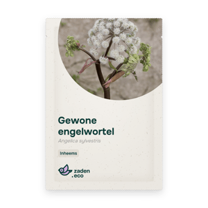 Zakje Gewone engelwortel