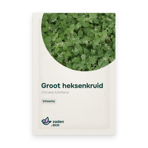 Zakje Groot heksenkruid