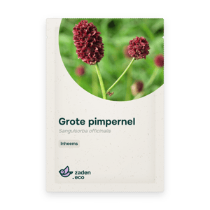 Zakje Grote pimpernel