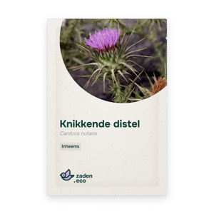 Zakje Knikkende distel