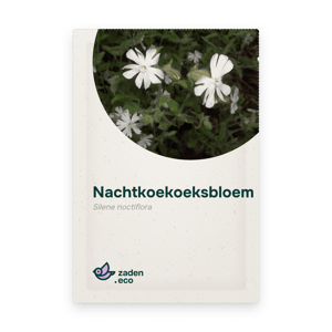 Zakje Nachtkoekoeksbloem