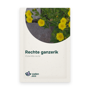 Zakje Rechte ganzerik