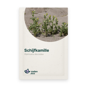 Zakje Schijfkamille