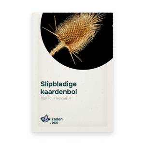Zakje Slipbladige kaardenbol
