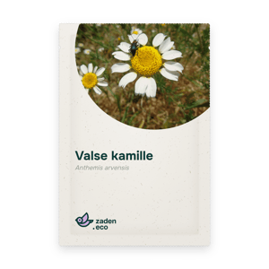 Zakje Valse kamille