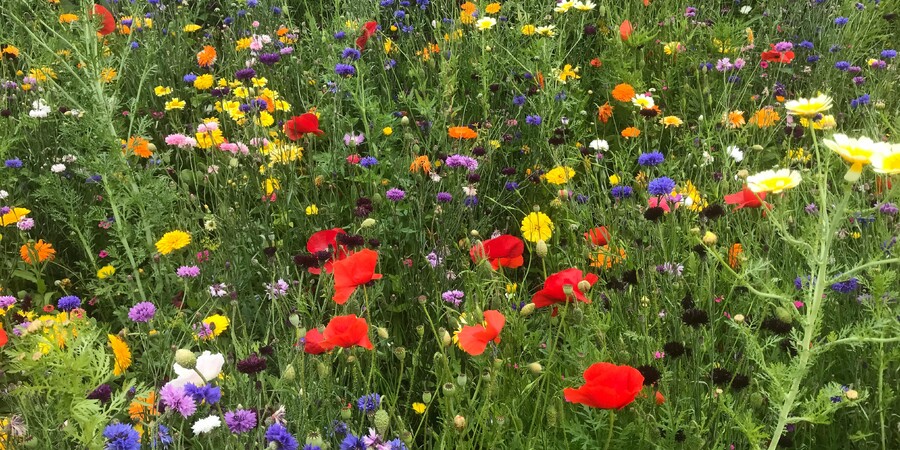 Persoonlijk cadeau voor een tuinliefhebber